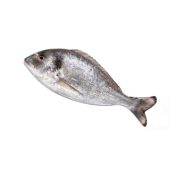 CIPURA-SEABREAM-800G-1.jpg